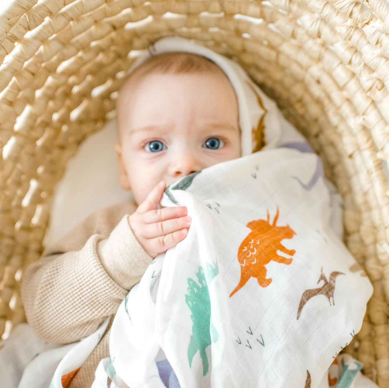 Muslin Swaddle Blanket